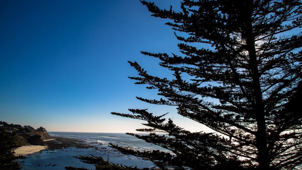 Photo of Outdoor in Moss Beach