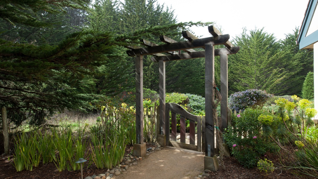 Photo of Outdoor in Moss Beach