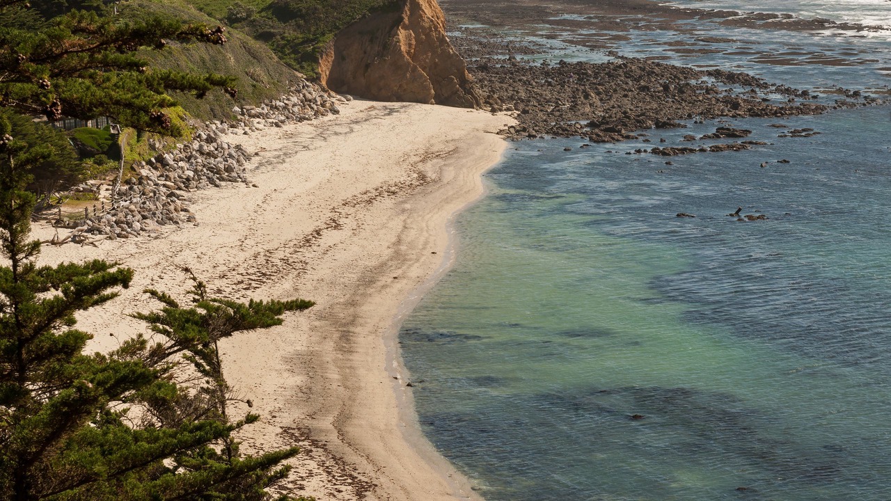 Photo of Others in Moss Beach