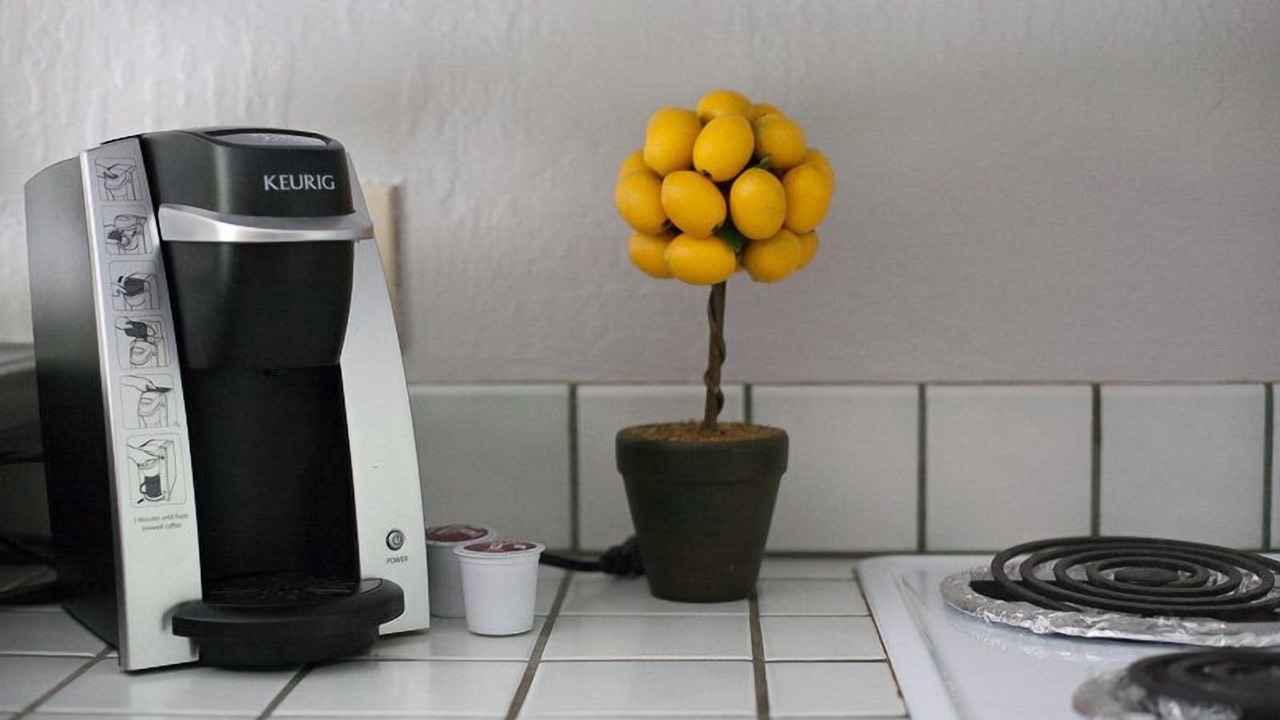 Photo of Others in Sonora