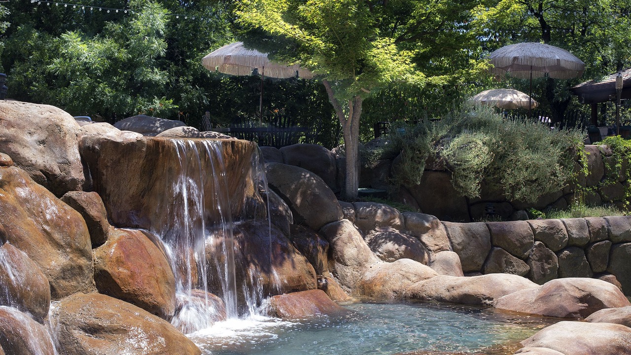 Photo of Others in Sonora