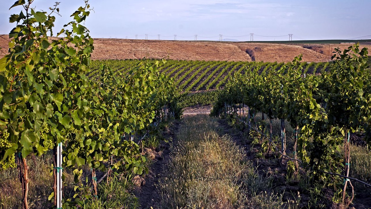 Photo of Others in Touchet