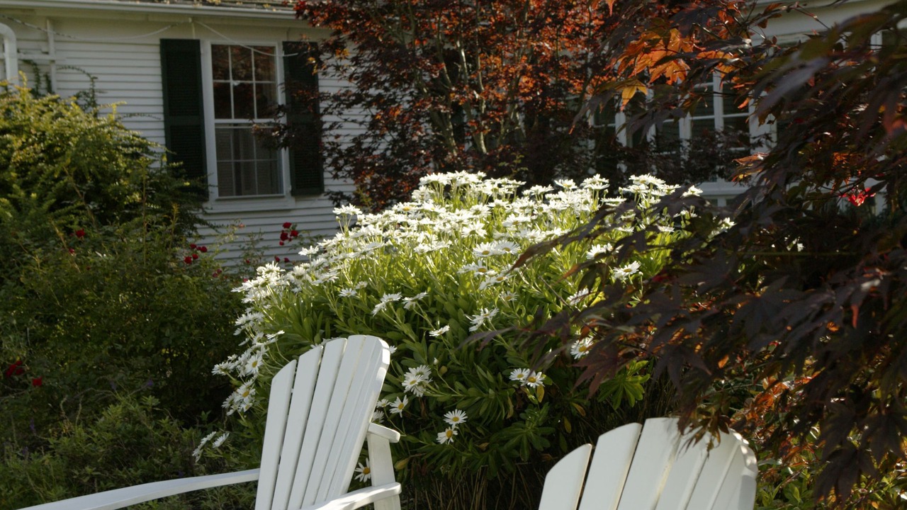 Photo of Outdoor in Chatham