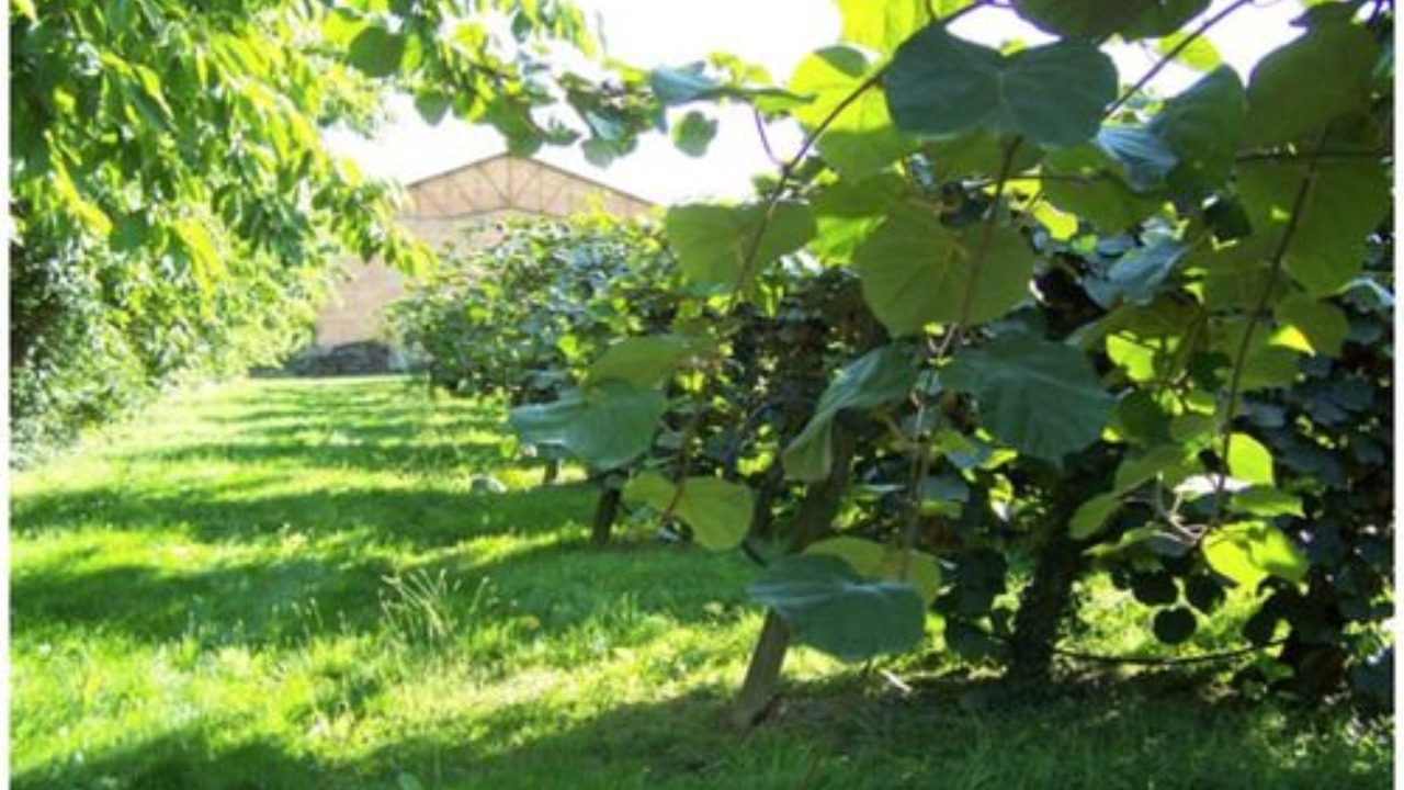 Photo of Outdoor in Tifton