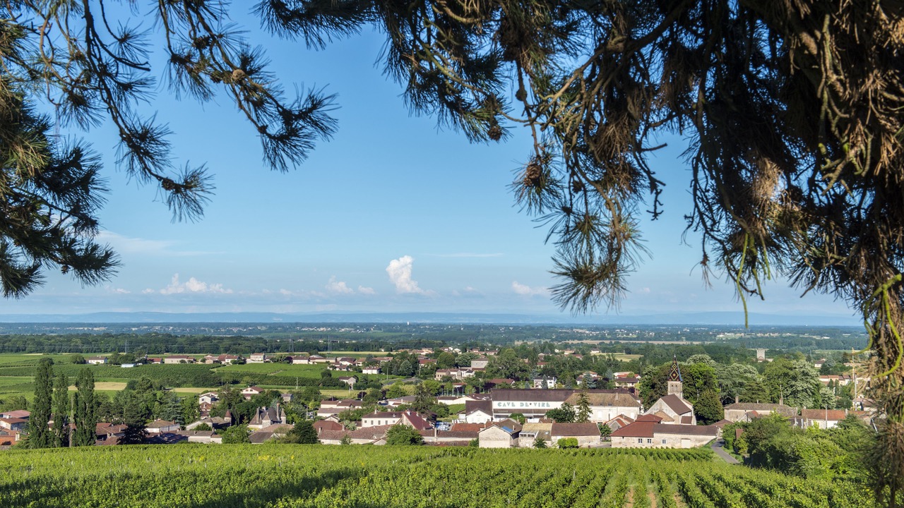 Photo of Others in Vire