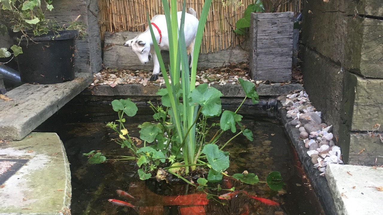 Photo of Others in Rushmoor District