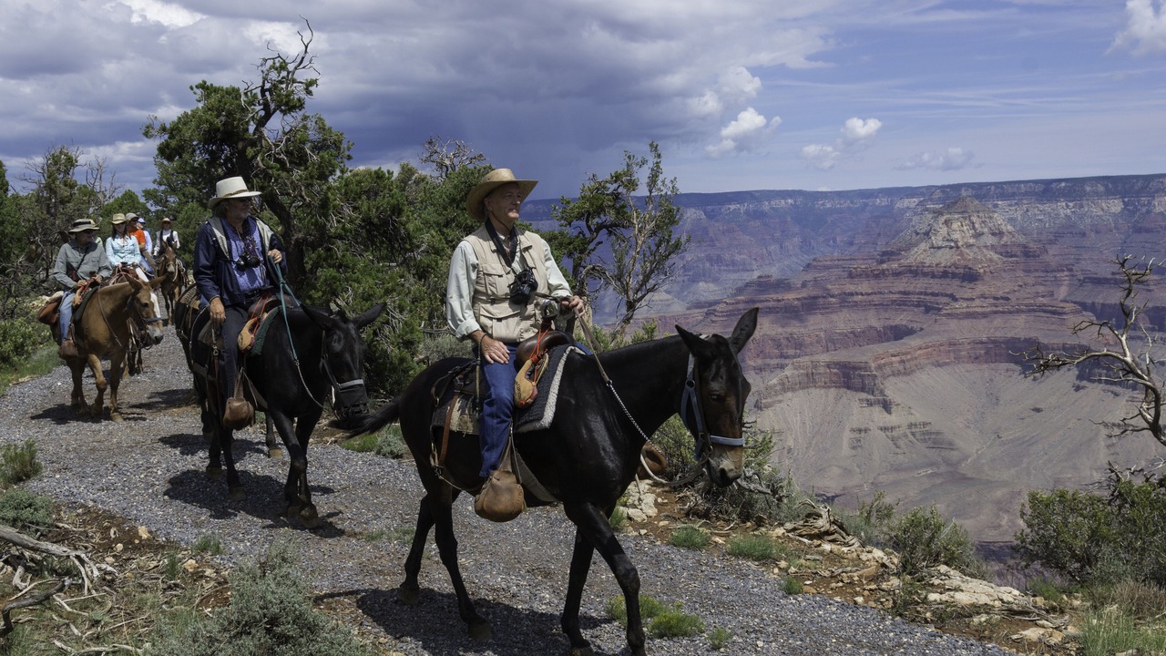 Photo of Others in Grand Canyon Village