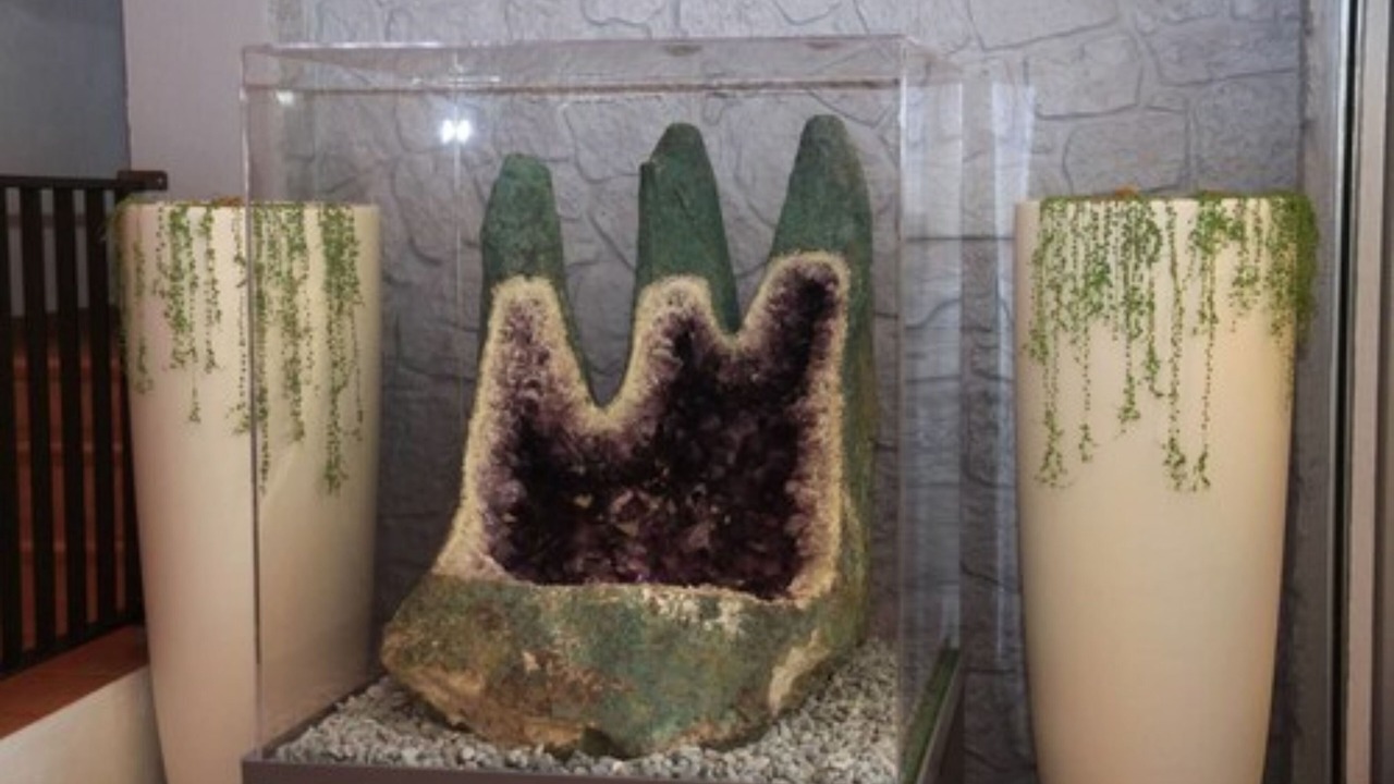 Photo of Others in Pineto