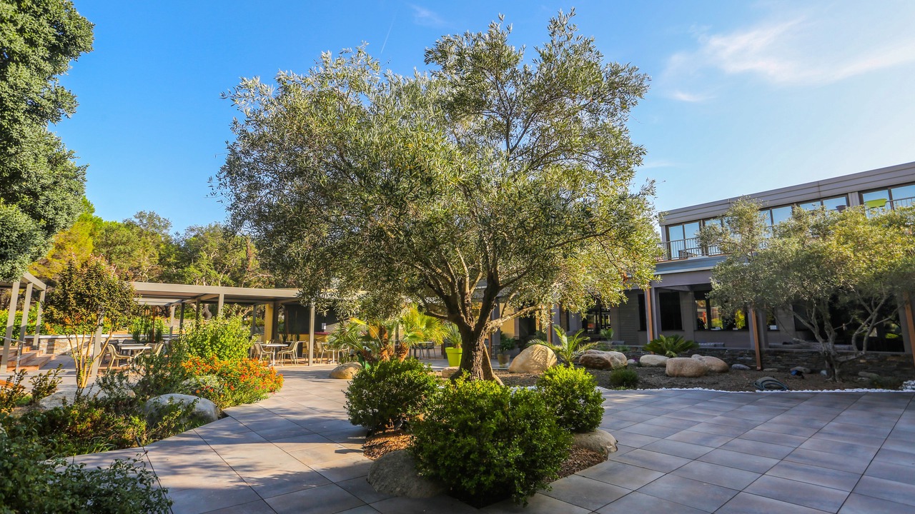 Photo of Outdoor in Pineto