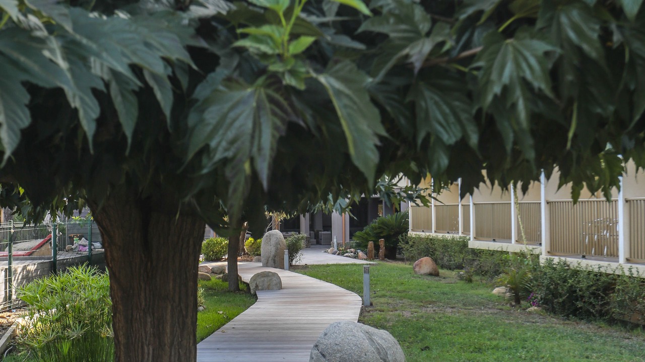 Photo of Outdoor in Pineto