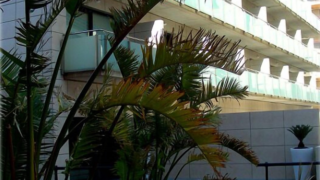 Photo of Outdoor in Peniscola