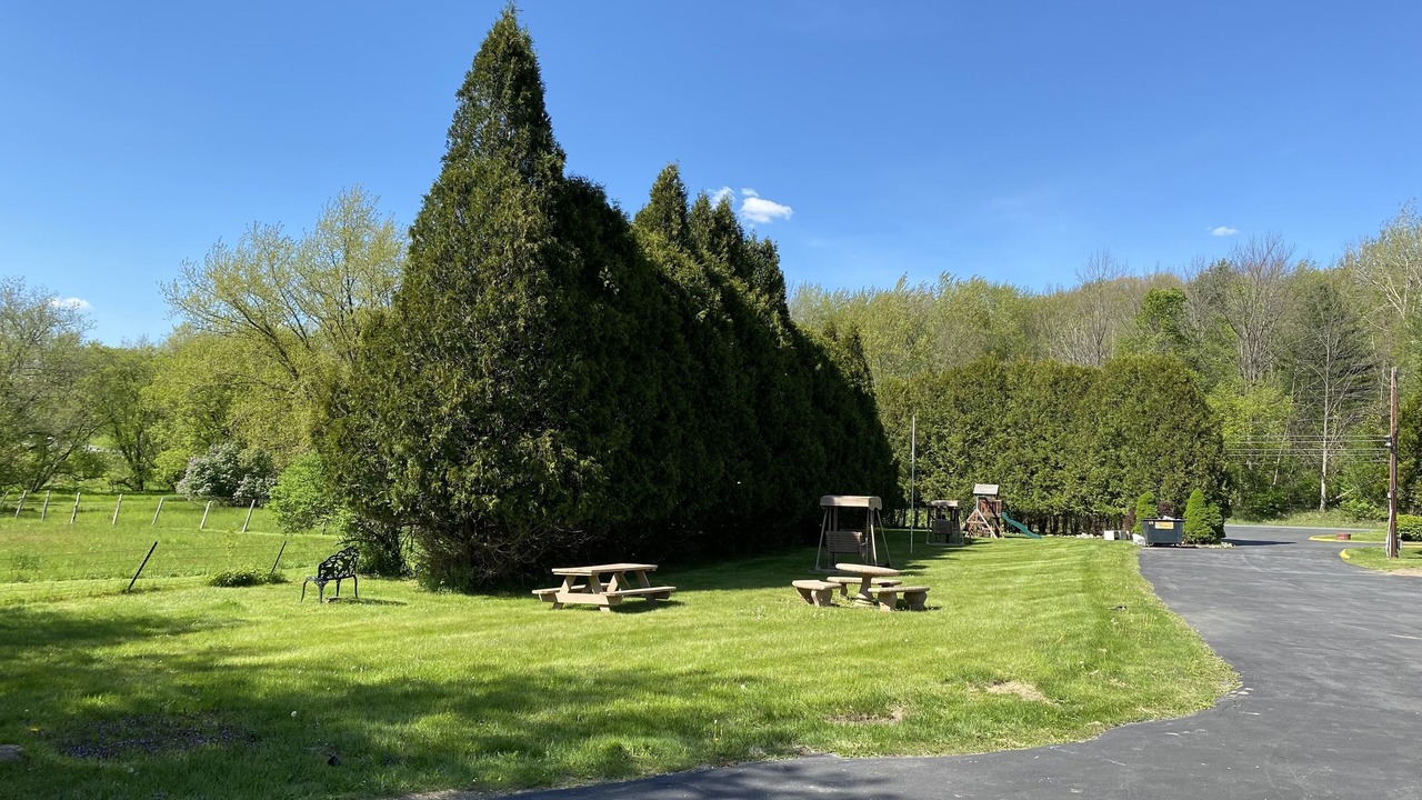 Photo of Others in Williamstown