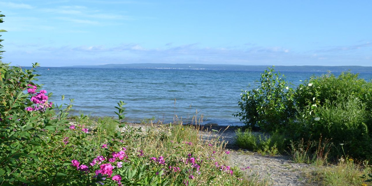 Photo of Outdoor in Bay View