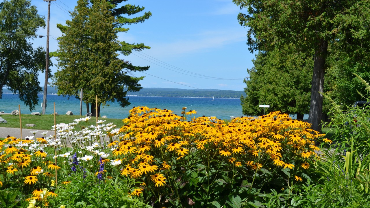 Photo of Outdoor in Bay View