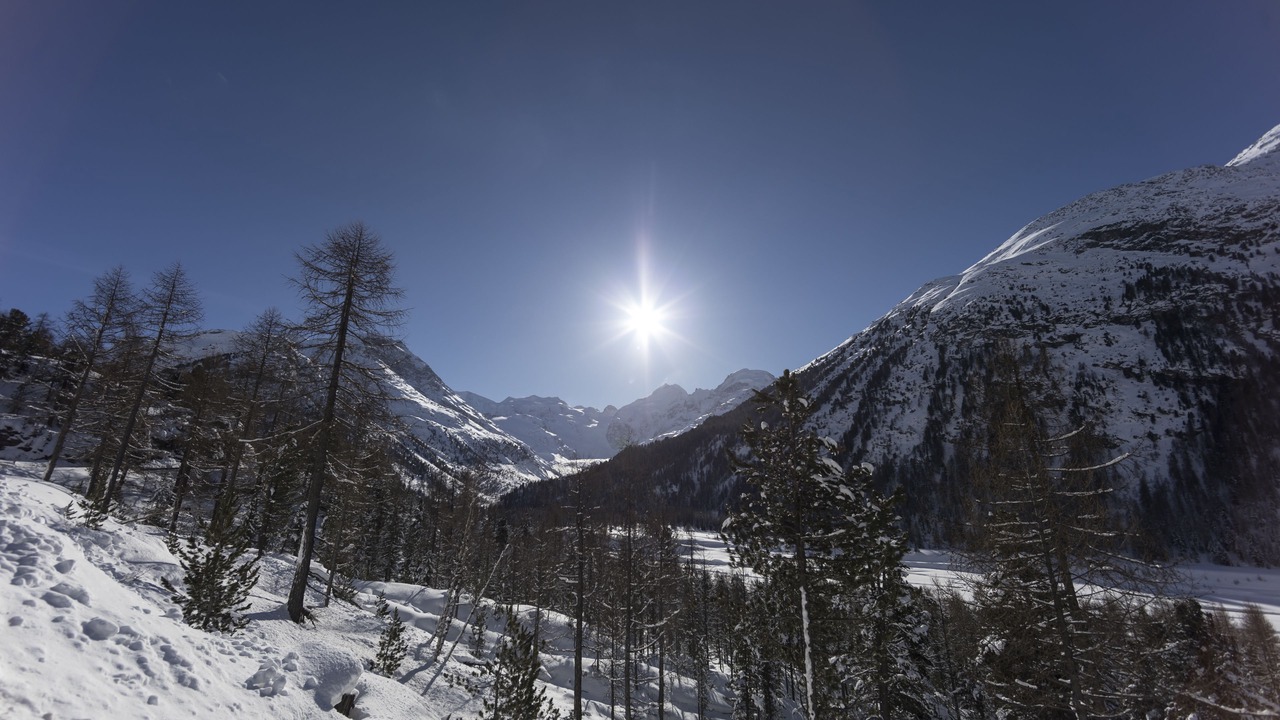 Photo of Others in Pontresina