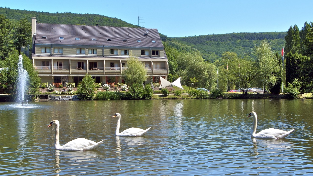 Photo of Others in Guebwiller