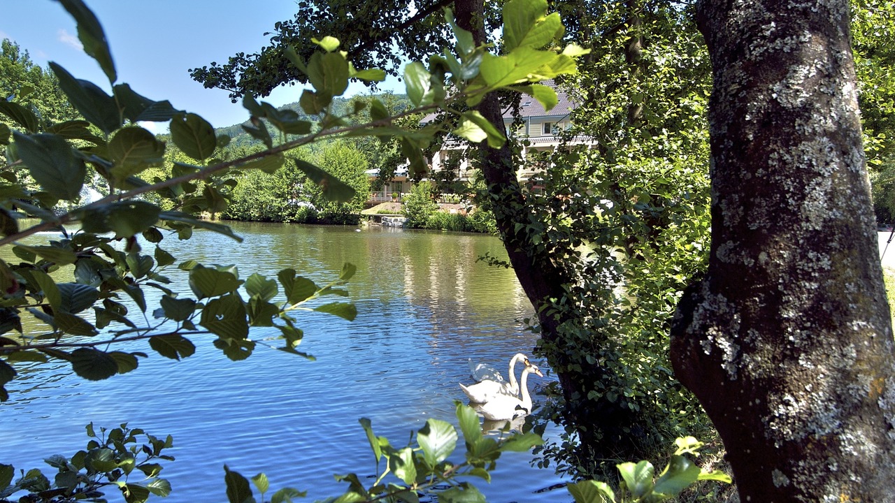 Photo of Others in Guebwiller