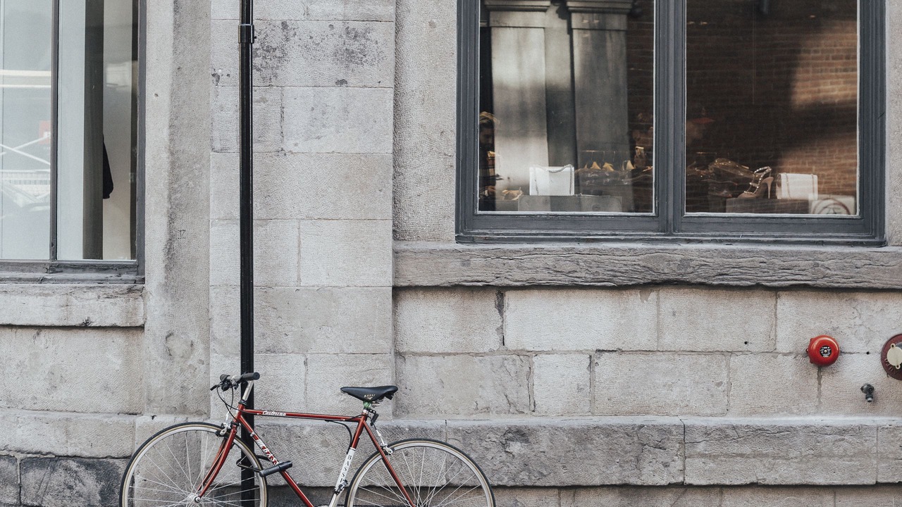 Photo of Others in Old Montreal