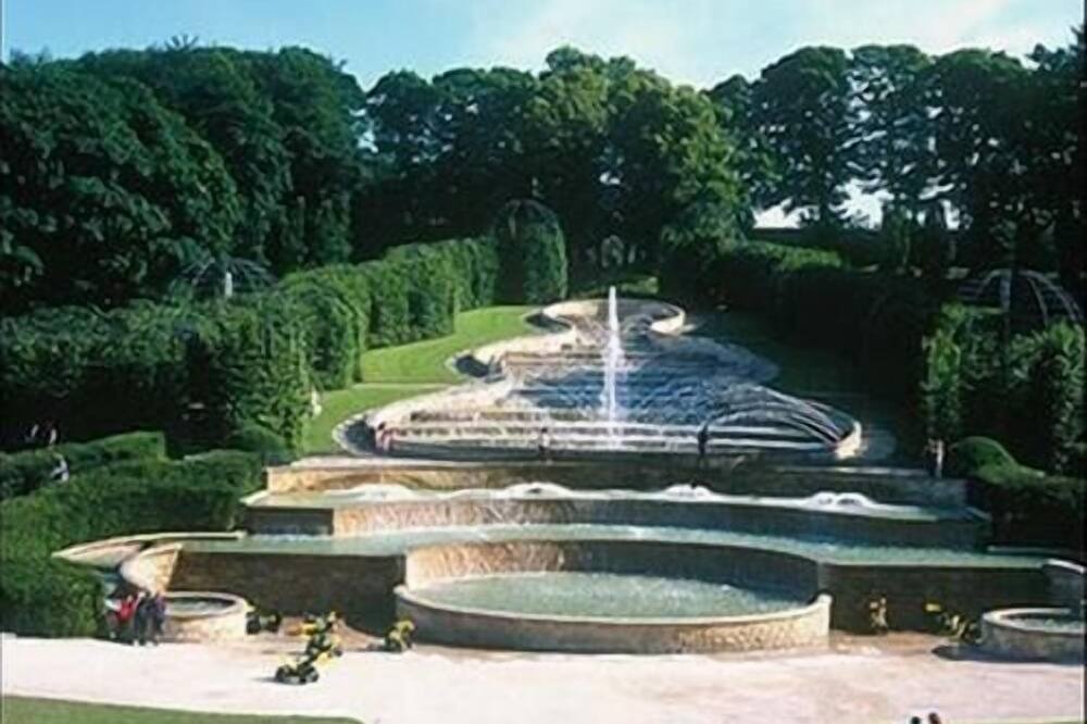 Photo of Others in Morpeth