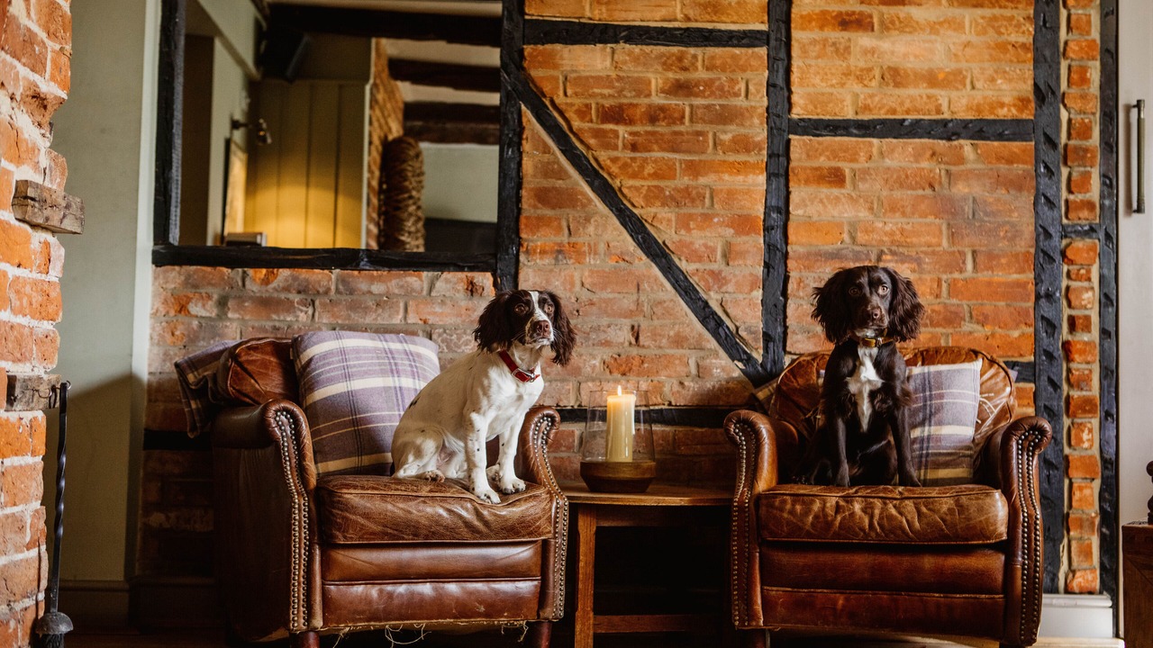 Photo of Others in Amport