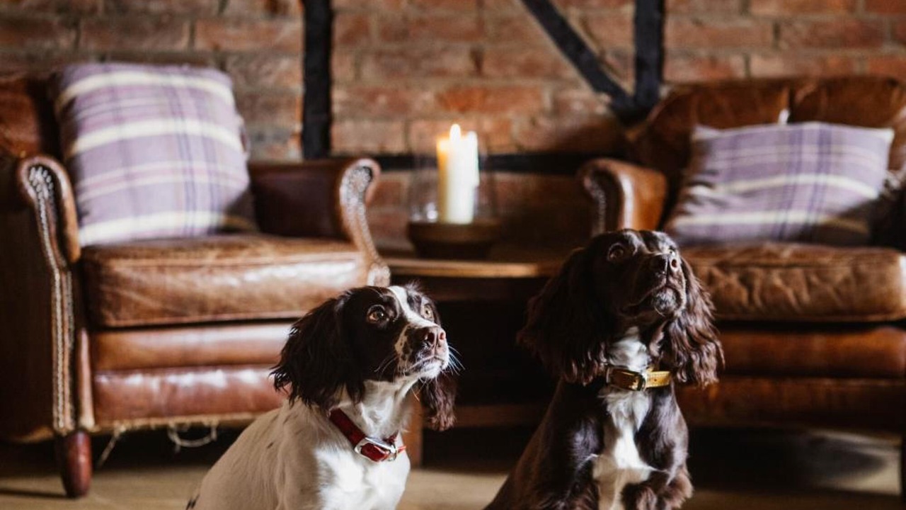 Photo of Others in Amport