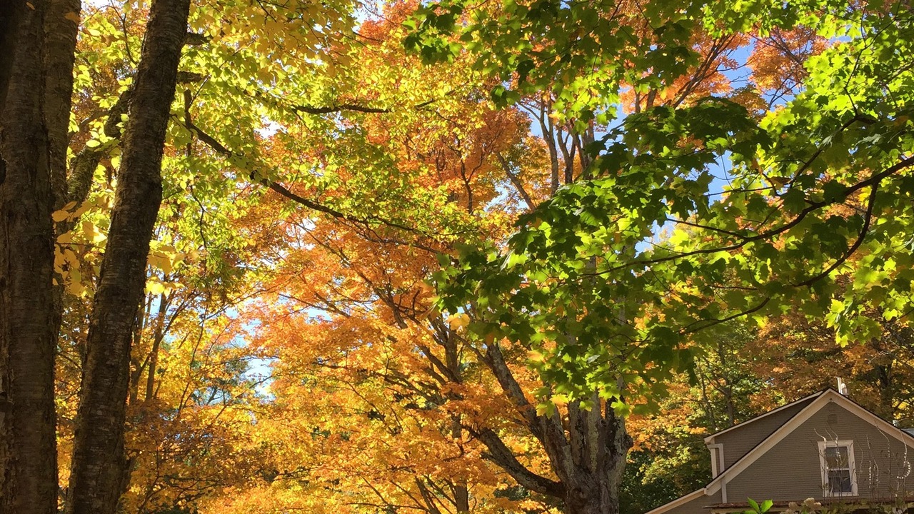 Photo of Outdoor in Mad River Valley