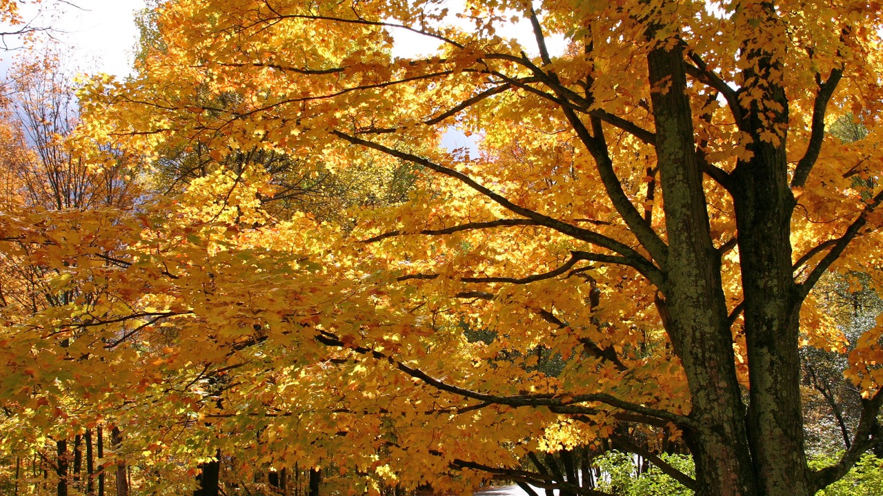 Photo of Outdoor in Mad River Valley