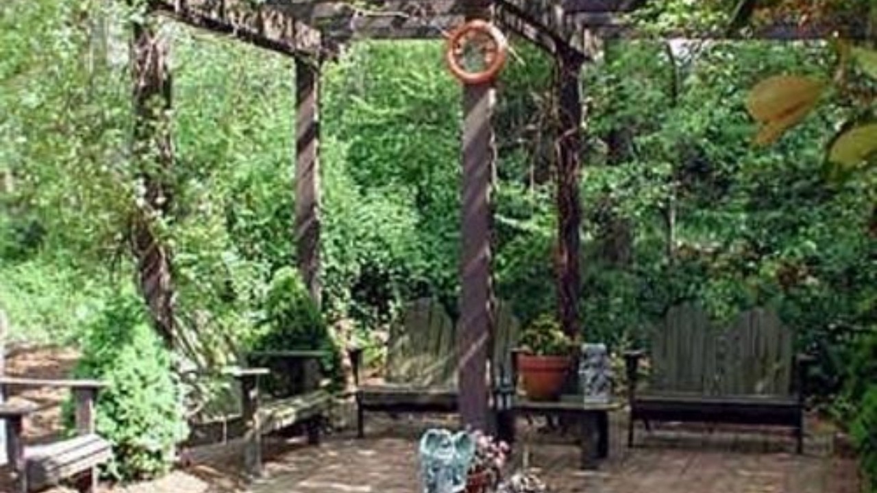 Photo of Outdoor in Williamsburg