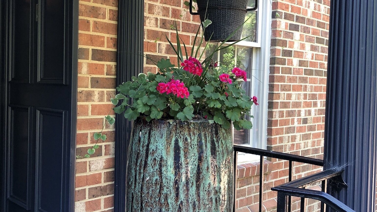 Photo of Outdoor in Williamsburg