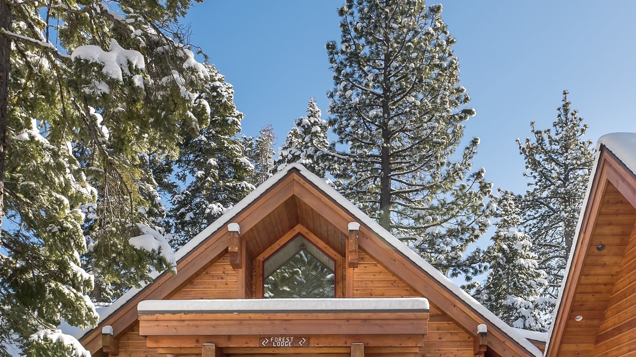 Photo of Outdoor in Tahoe City