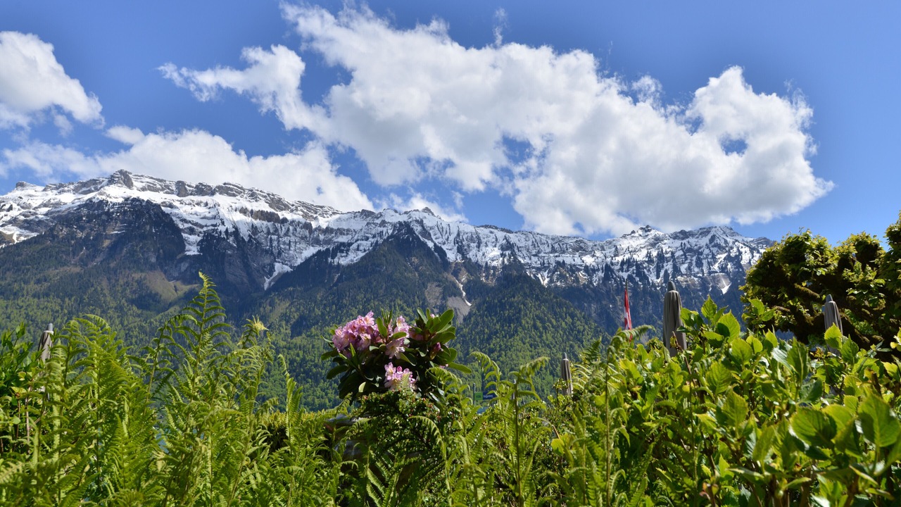 Photo of Outdoor in Ringgenberg