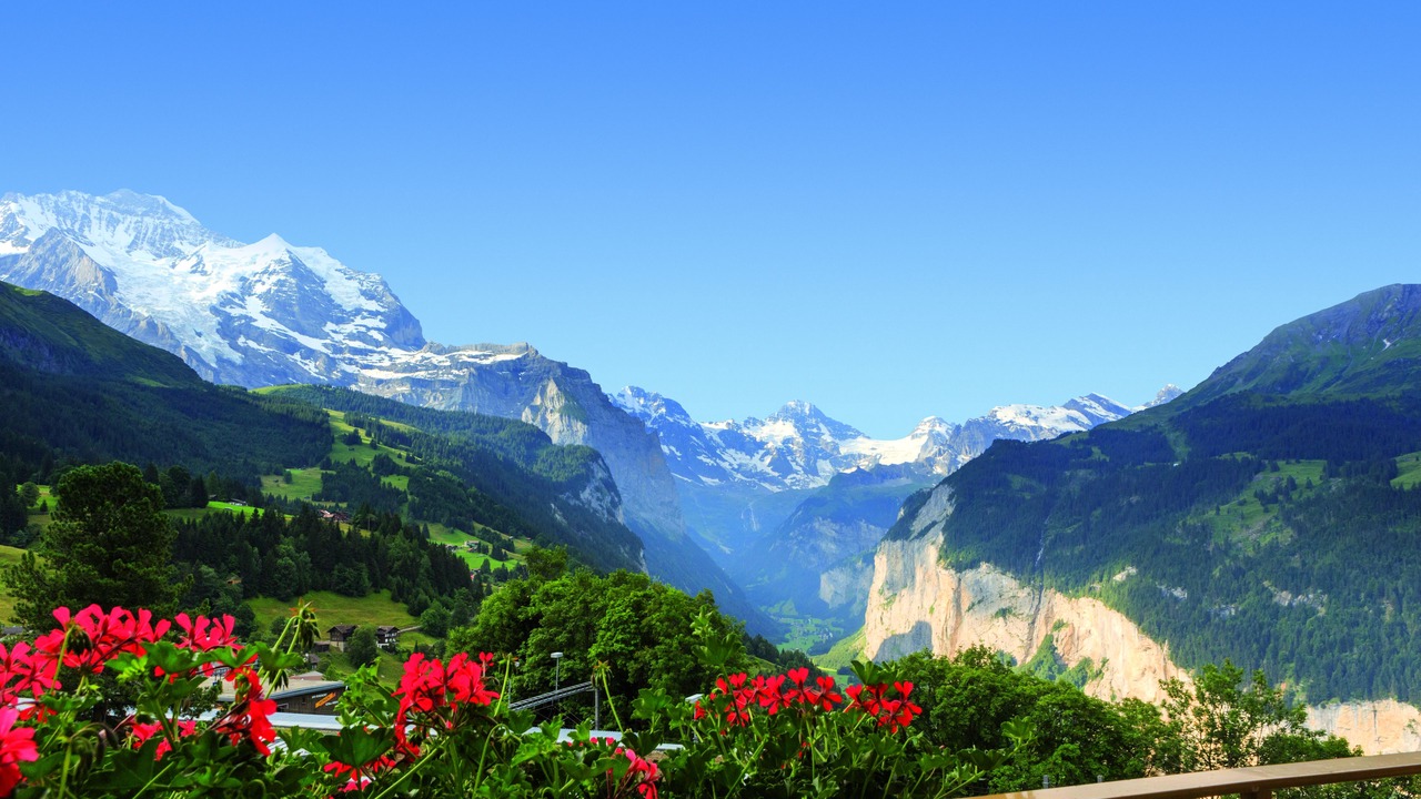 Photo of Others in Wengen