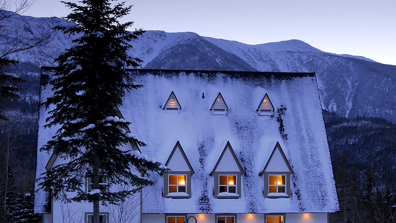 Photo of Outdoor in Mont-Albert