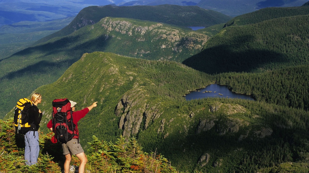 Photo of Outdoor in Mont-Albert