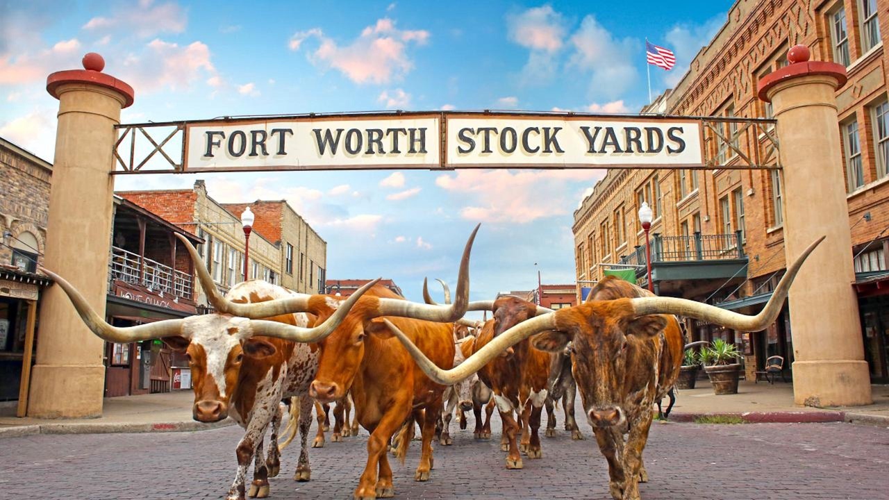 Photo of Others in Fort Worth