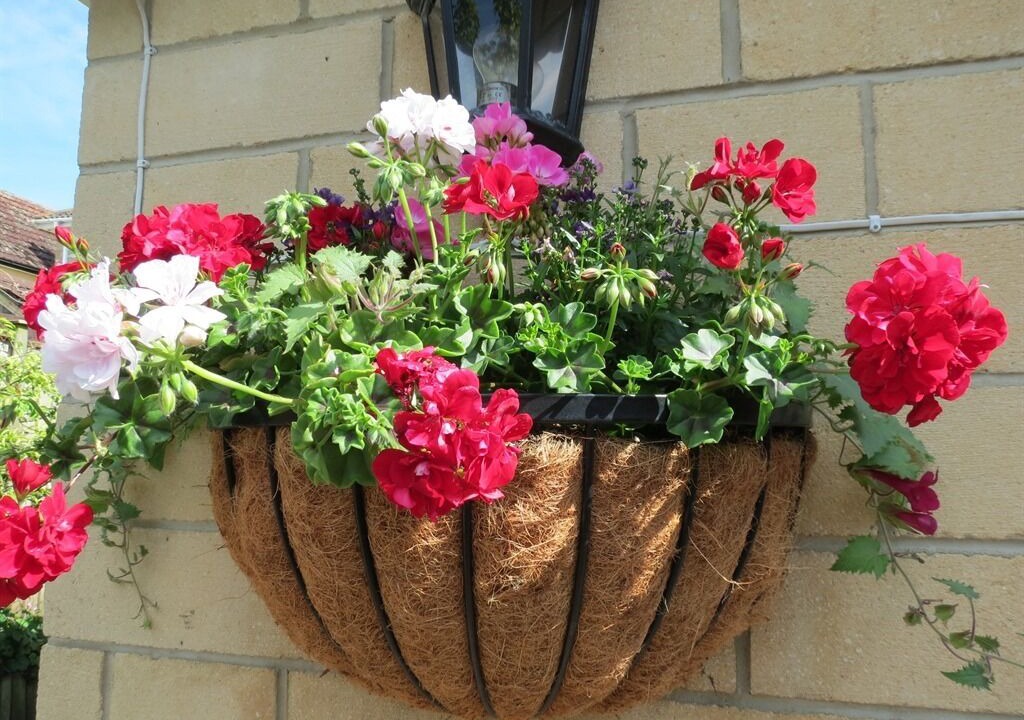 Photo of Others in Chippenham