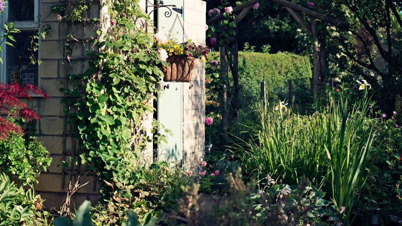 Photo of Buildings in Chippenham