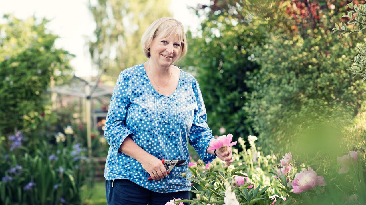 Photo of Others in Chippenham