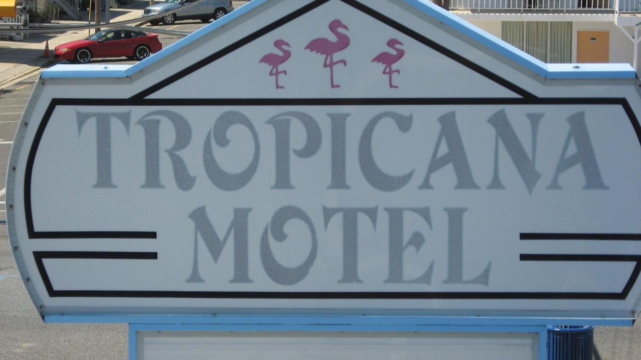 Photo of Outdoor in Wildwood