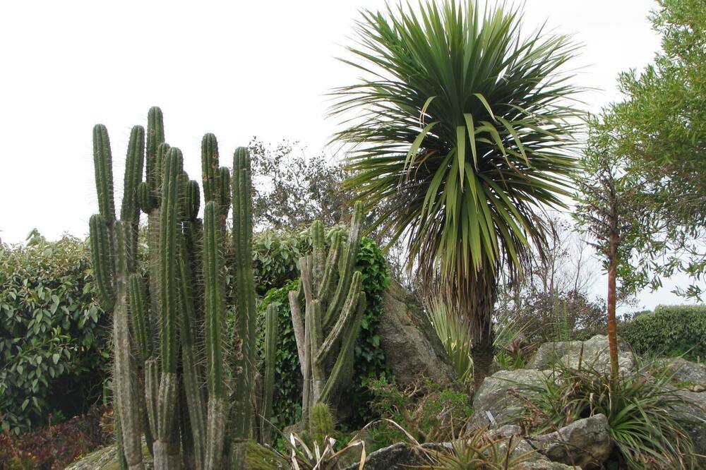 Photo of Outdoor in Roscoff