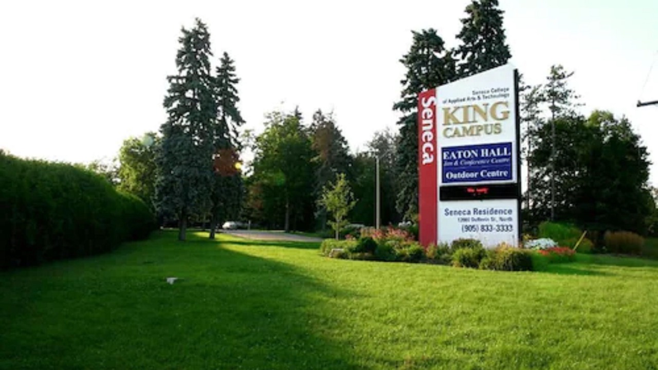 Photo of Outdoor in King City