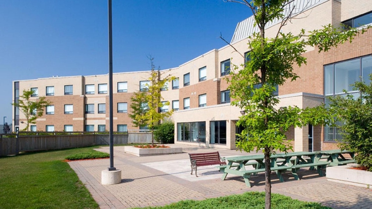 Photo of Outdoor in King City