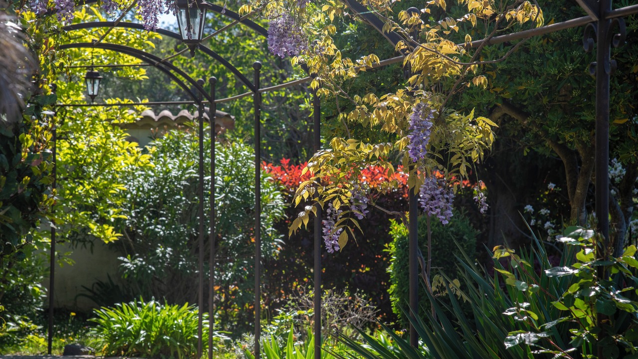 Photo of Outdoor in Saint-Paul-de-Vence