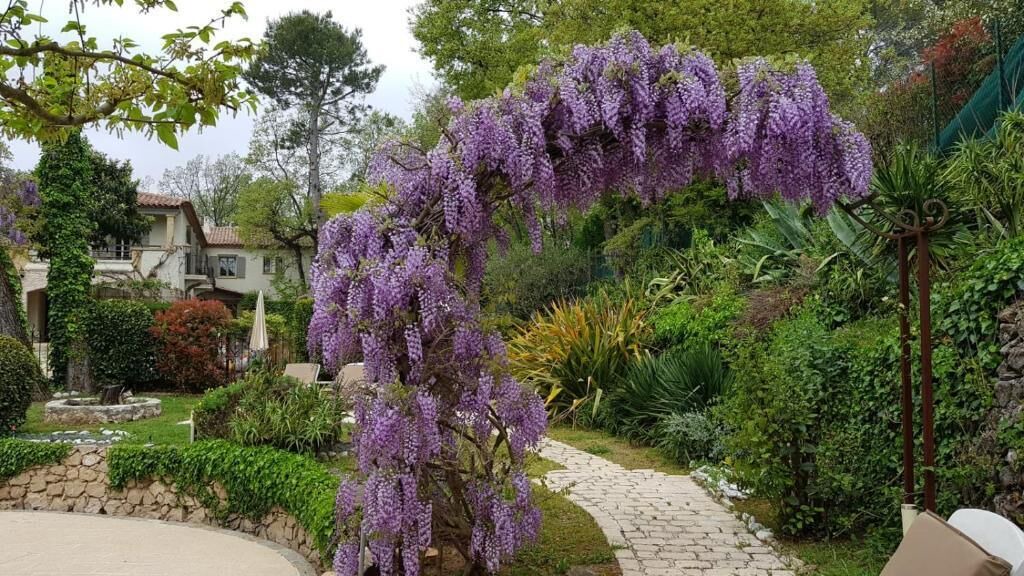 Photo of Outdoor in Saint-Paul-de-Vence