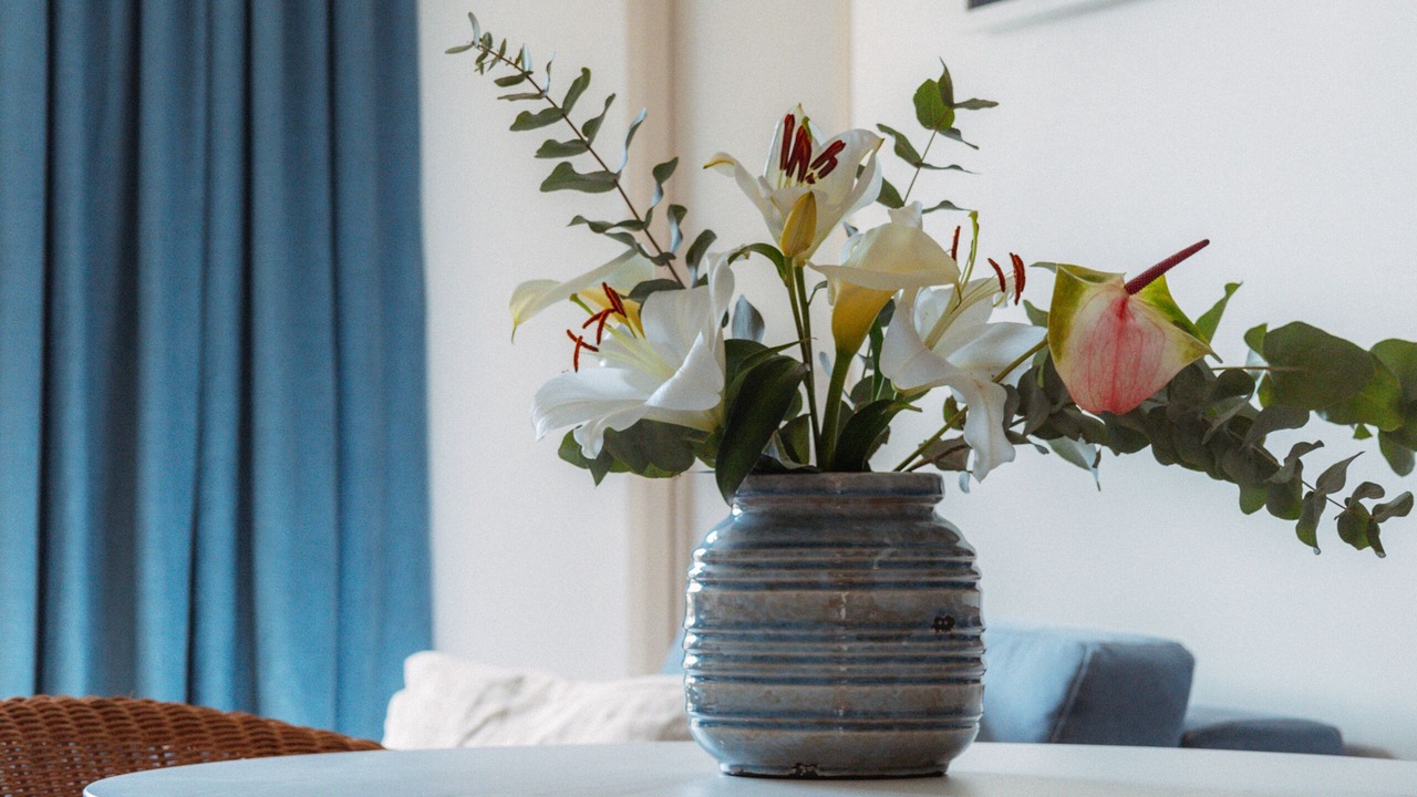 Photo of Others in Saint-Paul-de-Vence