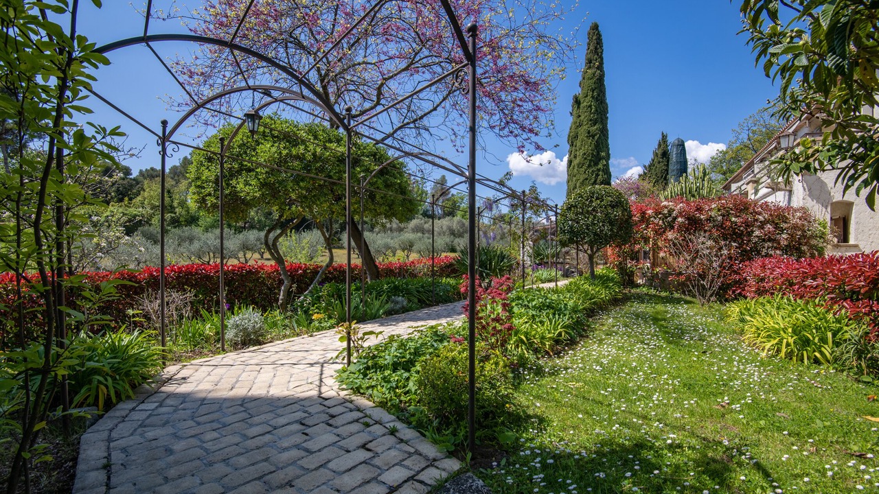 Photo of Others in Saint-Paul-de-Vence