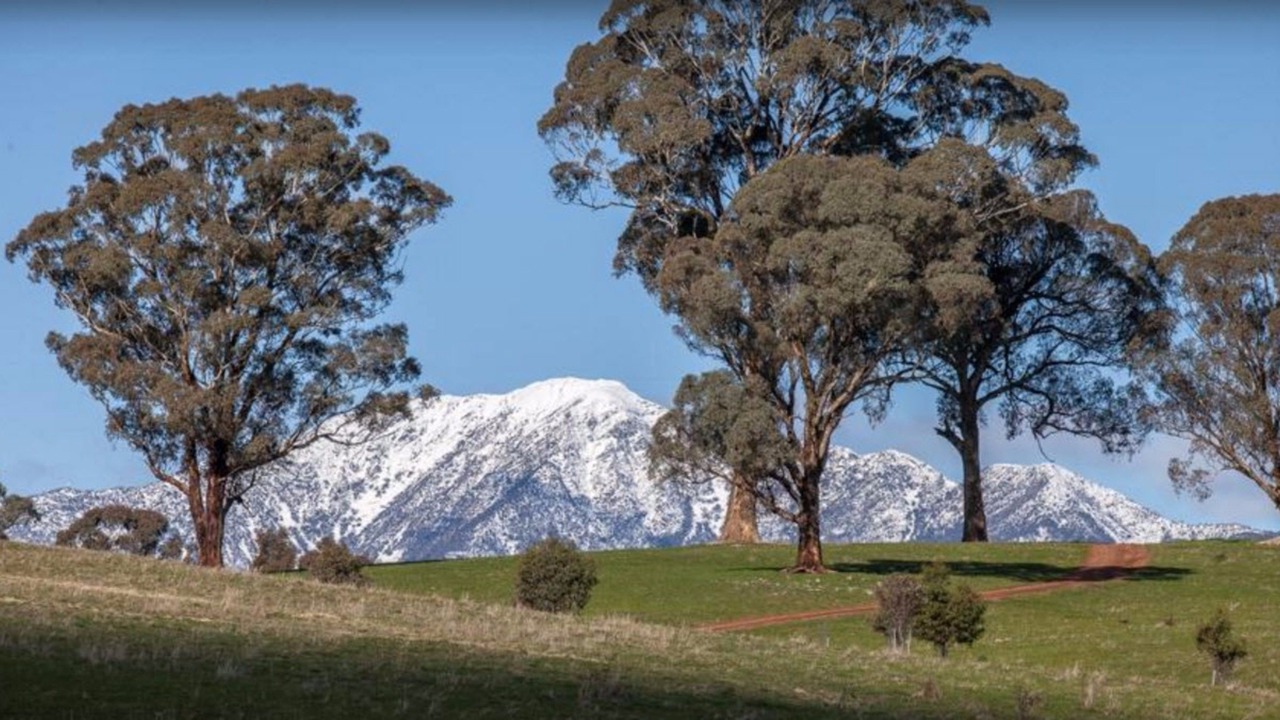 Photo of Others in Mansfield