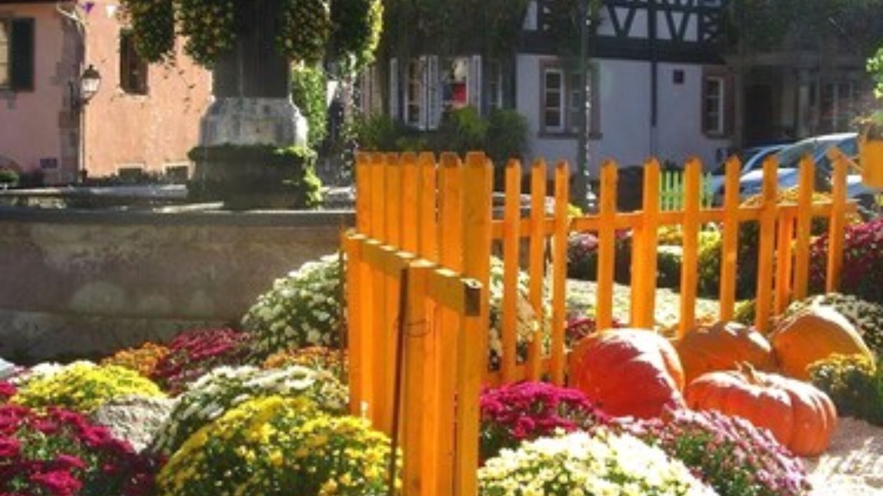 Photo of Outdoor in Barr