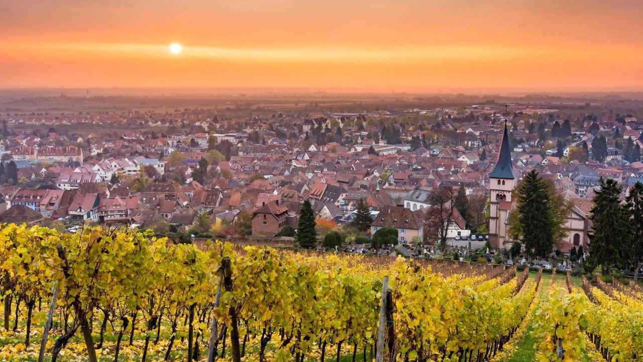 Photo of Others in Barr