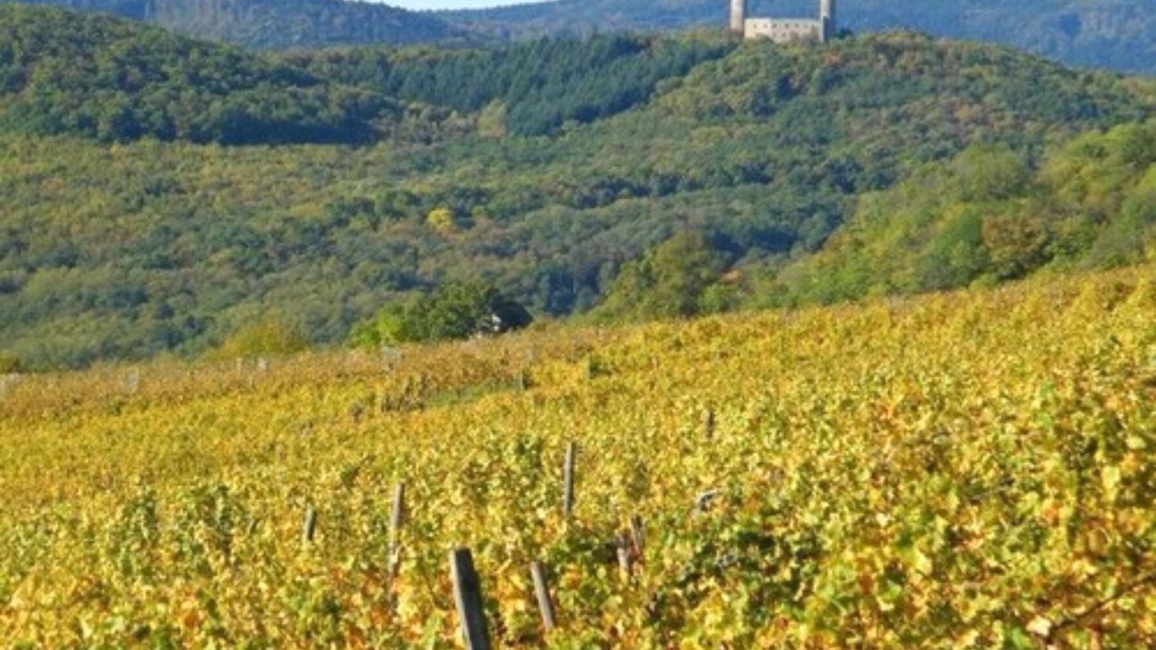 Photo of Outdoor in Barr